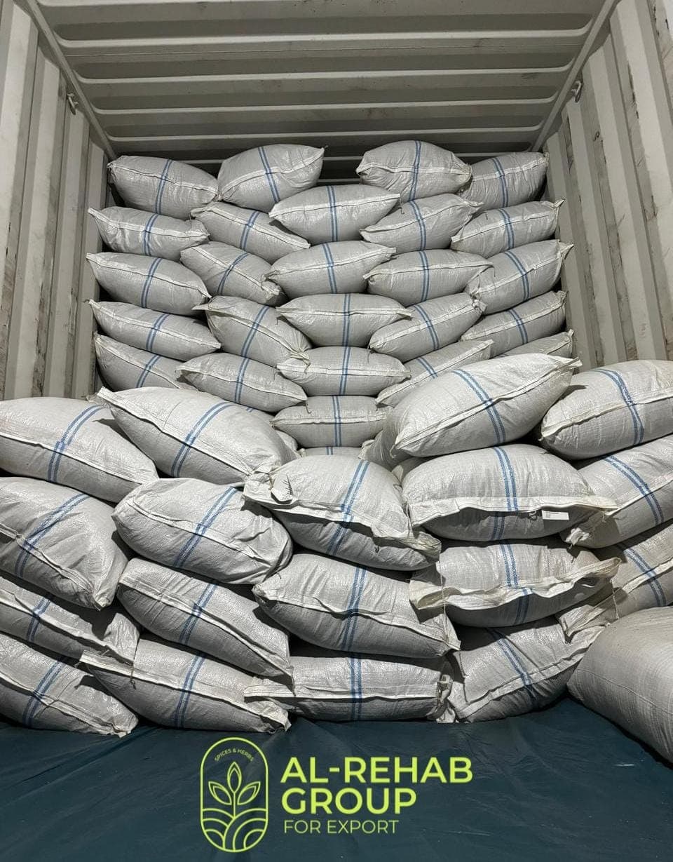 Export Packaging